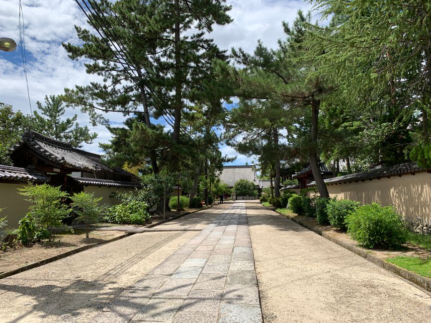 Peaceful stone pathway lined with trees in a traditional Japanese garden in Kyoto, Japan.